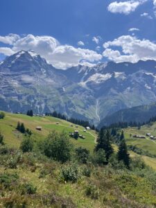 Mountain panorama along the North Face Trail