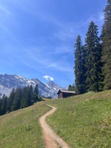 Mountain views from the North Face Trail in Mürren