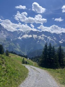 Mountain scenery on the North Face Trail near Mürren